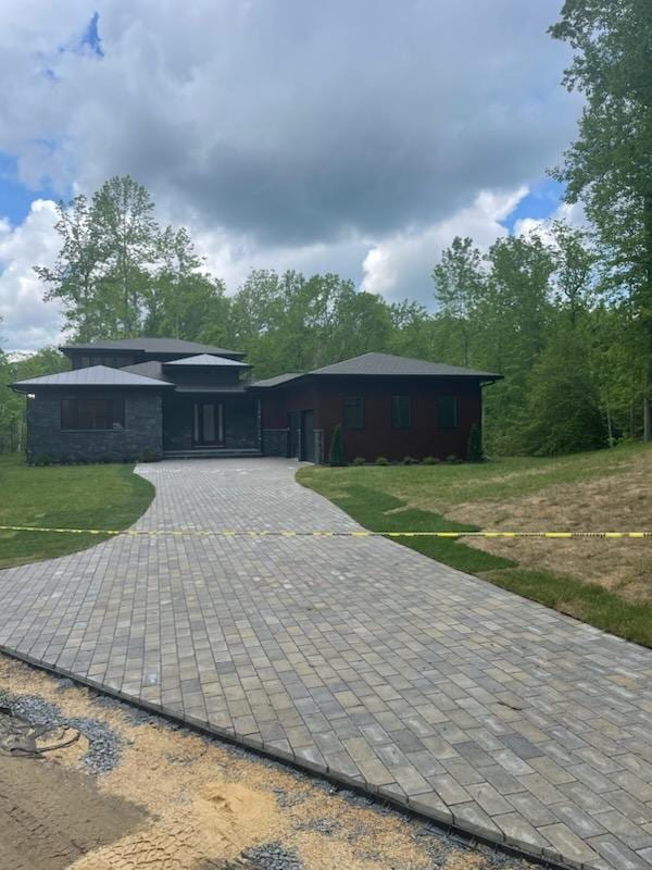 Fresh paved lane lined with trees